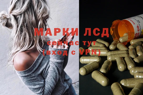 ALPHA PVP Магас